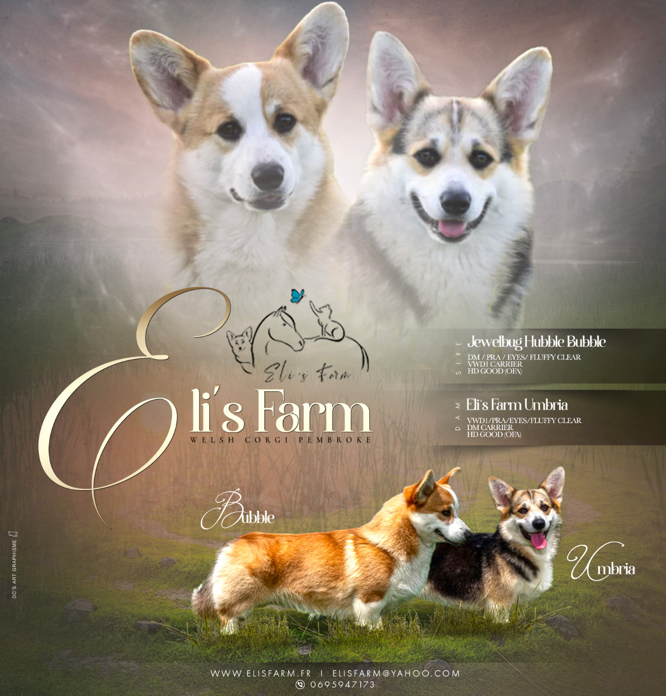 Bienvenue à la portée d'halloween: les sorciers et sorcières d'Eli's Farm