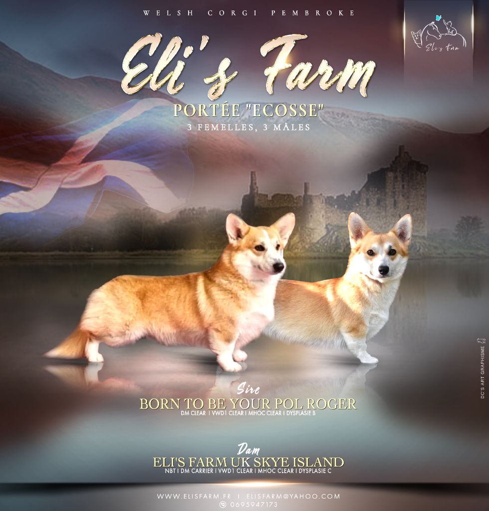 Bienvenue à la portée ECOSSE